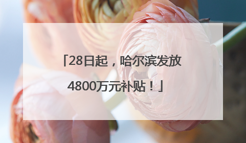 28日起，哈尔滨发放4800万元补贴！