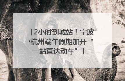 2小时到城站！宁波→杭州端午假期加开“一站直达动车”