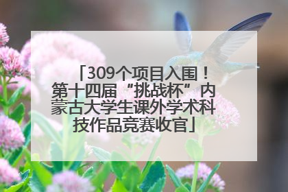 309个项目入围！第十四届“挑战杯”内蒙古大学生课外学术科技作品竞赛收官