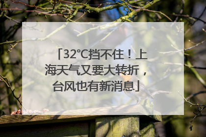 32℃挡不住！上海天气又要大转折，台风也有新消息