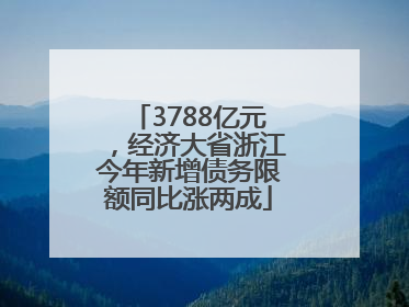 3788亿元，经济大省浙江今年新增债务限额同比涨两成