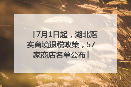 7月1日起，湖北落实离境退税政策，57家商店名单公布