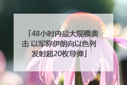 48小时内最大规模袭击 以军称伊朗向以色列发射超20枚导弹