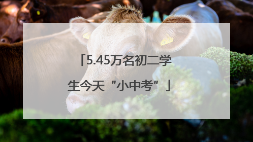 5.45万名初二学生今天“小中考”