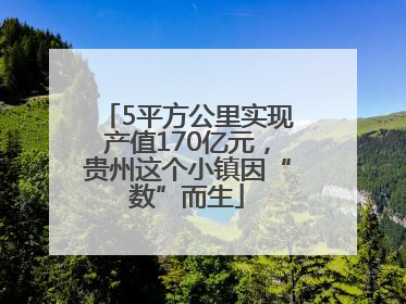 5平方公里实现产值170亿元，贵州这个小镇因“数”而生