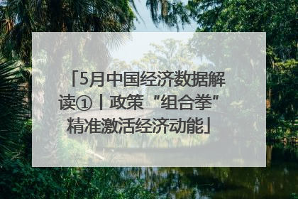 5月中国经济数据解读①丨政策“组合拳”精准激活经济动能