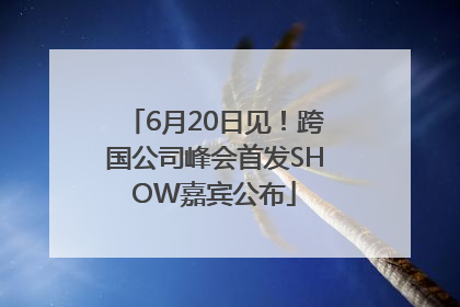 6月20日见！跨国公司峰会首发SHOW嘉宾公布
