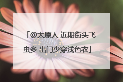 @太原人 近期街头飞虫多 出门少穿浅色衣