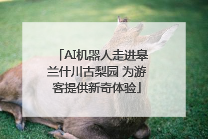 AI机器人走进皋兰什川古梨园 为游客提供新奇体验