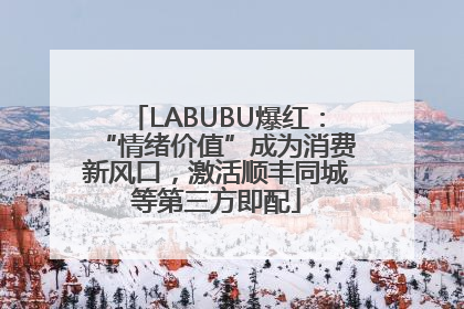 LABUBU爆红：“情绪价值”成为消费新风口，激活顺丰同城等第三方即配