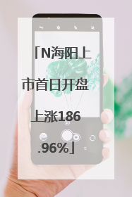 N海阳上市首日开盘上涨186.96%